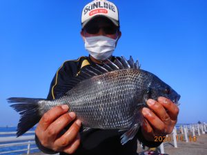 鹿島港魚釣園 釣果
