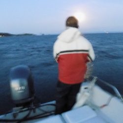 フィッシングボート空風(そらかぜ) 釣果