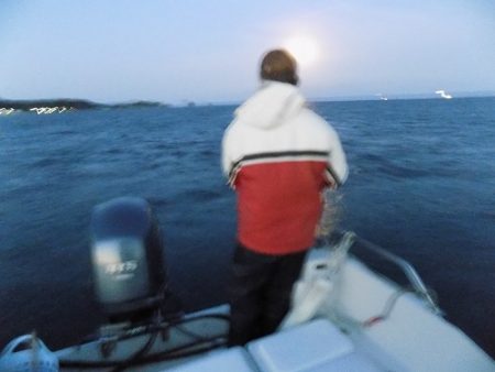 フィッシングボート空風(そらかぜ) 釣果