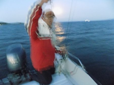 フィッシングボート空風(そらかぜ) 釣果