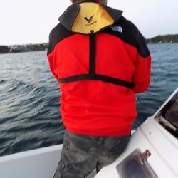 フィッシングボート空風(そらかぜ) 釣果