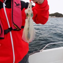 フィッシングボート空風(そらかぜ) 釣果