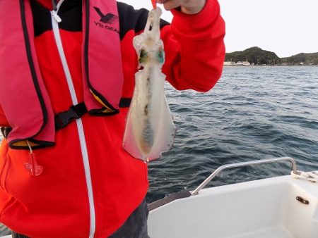 フィッシングボート空風(そらかぜ) 釣果