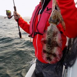 フィッシングボート空風(そらかぜ) 釣果