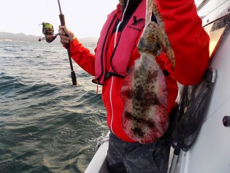 フィッシングボート空風(そらかぜ) 釣果