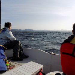 フィッシングボート空風(そらかぜ) 釣果