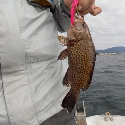 フィッシングボート空風(そらかぜ) 釣果