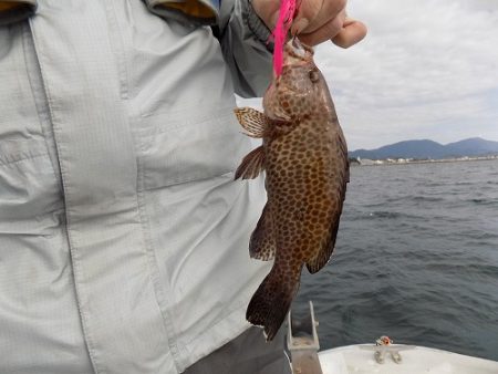 フィッシングボート空風(そらかぜ) 釣果