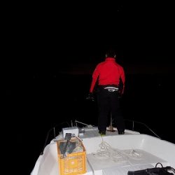 フィッシングボート空風(そらかぜ) 釣果