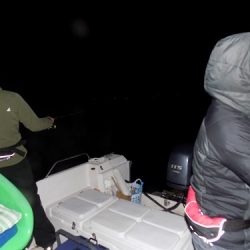 フィッシングボート空風(そらかぜ) 釣果