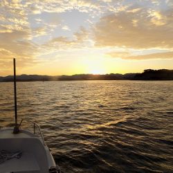 フィッシングボート空風(そらかぜ) 釣果