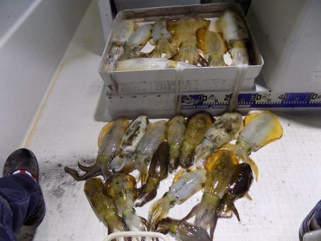 フィッシングボート空風(そらかぜ) 釣果