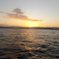 フィッシングボート空風(そらかぜ) 釣果