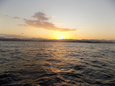 フィッシングボート空風(そらかぜ) 釣果