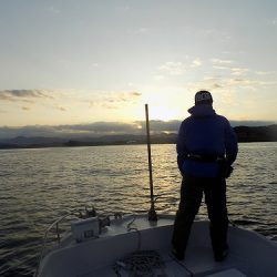 フィッシングボート空風(そらかぜ) 釣果