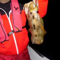 フィッシングボート空風(そらかぜ) 釣果