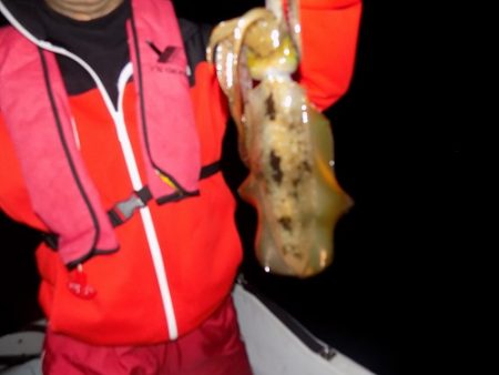 フィッシングボート空風（そらかぜ） 釣果