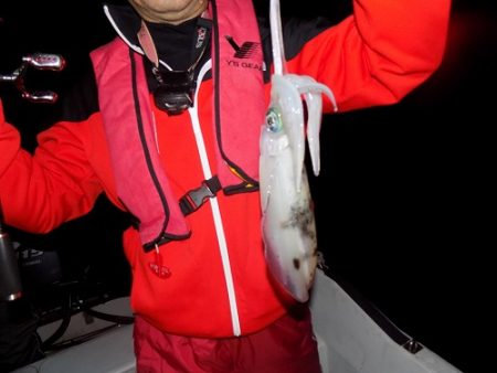 フィッシングボート空風(そらかぜ) 釣果