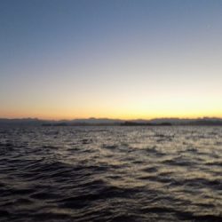 フィッシングボート空風(そらかぜ) 釣果