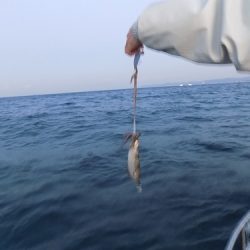フィッシングボート空風(そらかぜ) 釣果