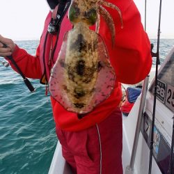 フィッシングボート空風(そらかぜ) 釣果