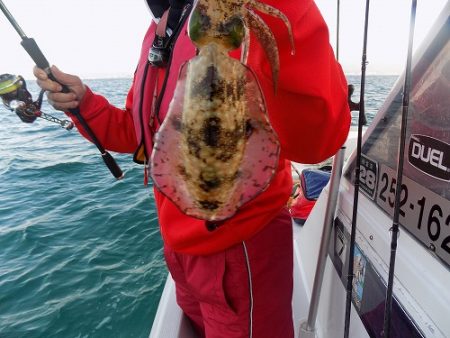 フィッシングボート空風(そらかぜ) 釣果