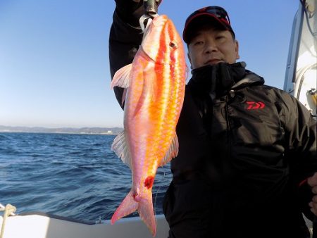 フィッシングボート空風(そらかぜ) 釣果