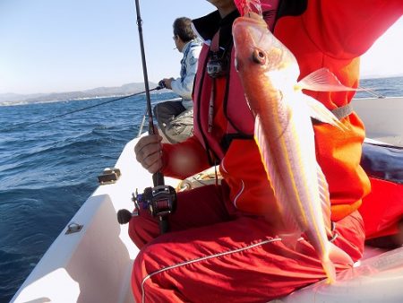フィッシングボート空風(そらかぜ) 釣果