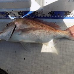 フィッシングボート空風(そらかぜ) 釣果