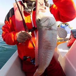 フィッシングボート空風(そらかぜ) 釣果