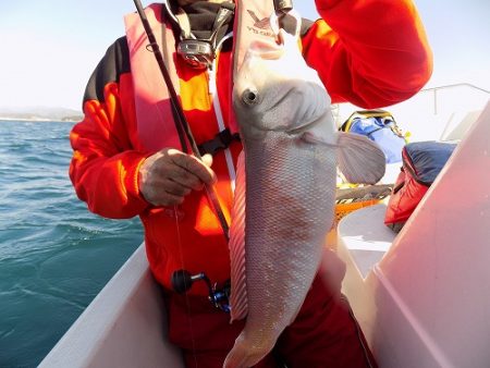 フィッシングボート空風(そらかぜ) 釣果