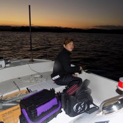 フィッシングボート空風(そらかぜ) 釣果