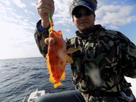 フィッシングボート空風(そらかぜ) 釣果