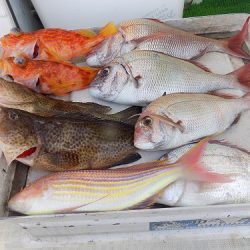 フィッシングボート空風(そらかぜ) 釣果