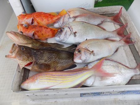 フィッシングボート空風(そらかぜ) 釣果