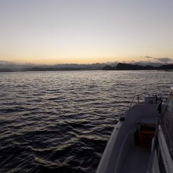 フィッシングボート空風(そらかぜ) 釣果