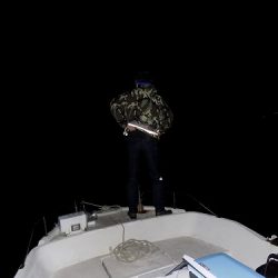 フィッシングボート空風(そらかぜ) 釣果