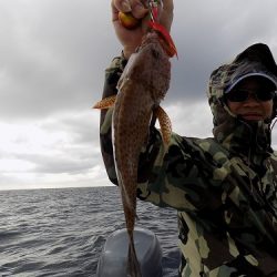 フィッシングボート空風(そらかぜ) 釣果