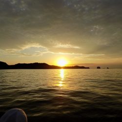 フィッシングボート空風（そらかぜ） 釣果