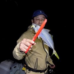 フィッシングボート空風（そらかぜ） 釣果