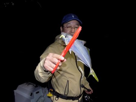 フィッシングボート空風（そらかぜ） 釣果