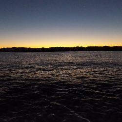 フィッシングボート空風(そらかぜ) 釣果