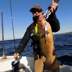 フィッシングボート空風(そらかぜ) 釣果