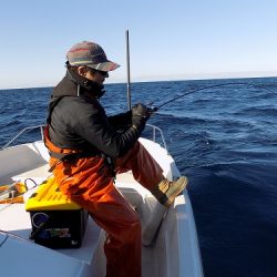 フィッシングボート空風(そらかぜ) 釣果