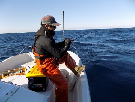 フィッシングボート空風(そらかぜ) 釣果