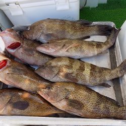 フィッシングボート空風(そらかぜ) 釣果