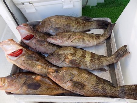 フィッシングボート空風(そらかぜ) 釣果