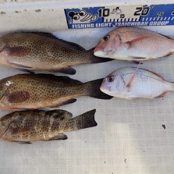 フィッシングボート空風(そらかぜ) 釣果