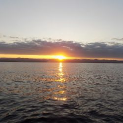 フィッシングボート空風(そらかぜ) 釣果