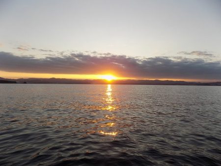 フィッシングボート空風(そらかぜ) 釣果